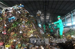 Phân bón hữu cơ từ rác khó tìm đầu ra